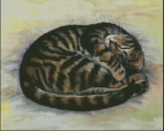 (image for) Sleep Tight